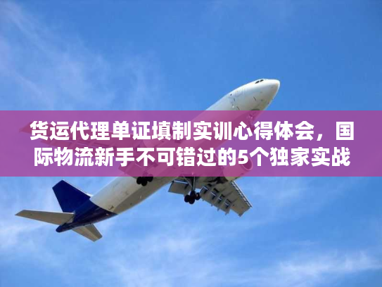 货运代理单证填制实训心得体会，国际物流新手不可错过的5个独家实战细节