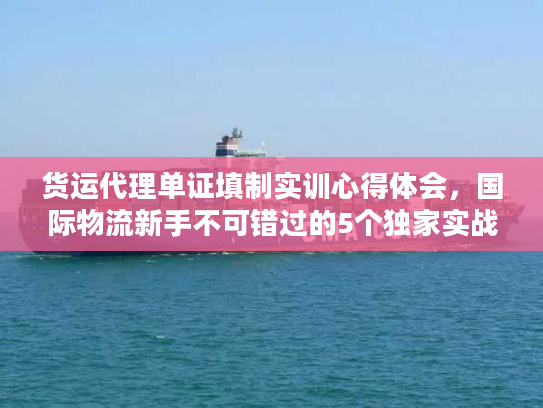 货运代理单证填制实训心得体会，国际物流新手不可错过的5个独家实战细节