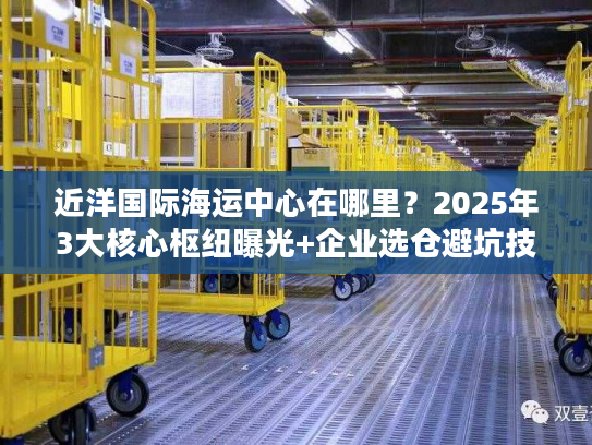 近洋国际海运中心在哪里?2025年3大核心枢纽曝光+企业选仓避坑技巧 近洋国际海运中心在哪里?2025年3大核心枢纽曝光+企业选仓避坑技巧