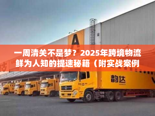 一周清关不是梦？2025年跨境物流鲜为人知的提速秘籍（附实战案例）