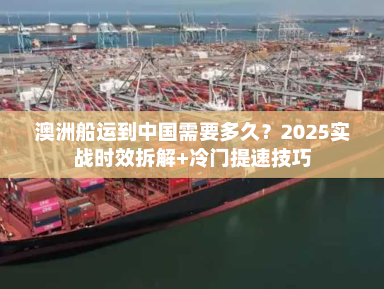 澳洲船运到中国需要多久？2025实战时效拆解+冷门提速技巧