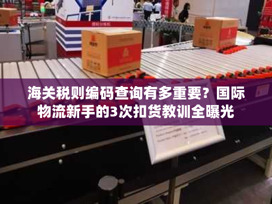 海关税则编码查询有多重要?国际物流新手的3次扣货教训全曝光 海关税则编码查询有多重要?国际物流新手的3次扣货教训全曝光