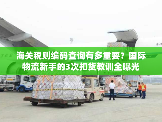 海关税则编码查询有多重要?国际物流新手的3次扣货教训全曝光 海关税则编码查询有多重要?国际物流新手的3次扣货教训全曝光