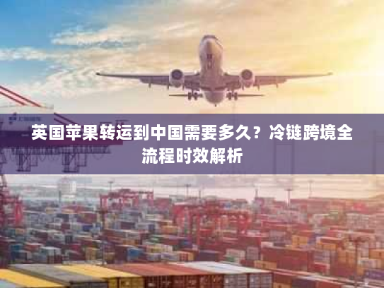 英国苹果转运到中国需要多久?冷链跨境全流程时效解析 英国苹果转运到中国需要多久?冷链跨境全流程时效解析