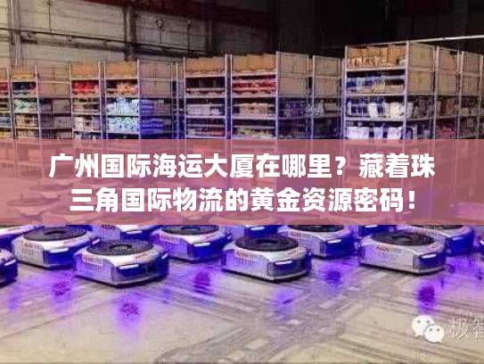 广州国际海运大厦在哪里？藏着珠三角国际物流的黄金资源密码！