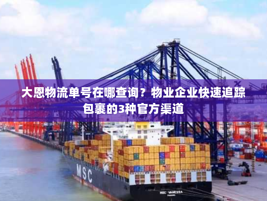大恩物流单号在哪查询?物业企业快速追踪包裹的3种官方渠道 大恩物流单号在哪查询?物业企业快速追踪包裹的3种官方渠道