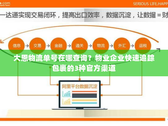 大恩物流单号在哪查询?物业企业快速追踪包裹的3种官方渠道 大恩物流单号在哪查询?物业企业快速追踪包裹的3种官方渠道