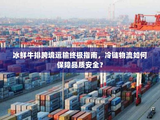 冰鲜牛排跨境运输终极指南,冷链物流如何保障品质安全? 冰鲜牛排跨境运输终极指南,冷链物流如何保障品质安全?