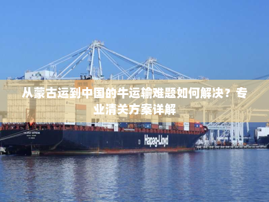 从蒙古运到中国的牛运输难题如何解决？专业清关方案详解
