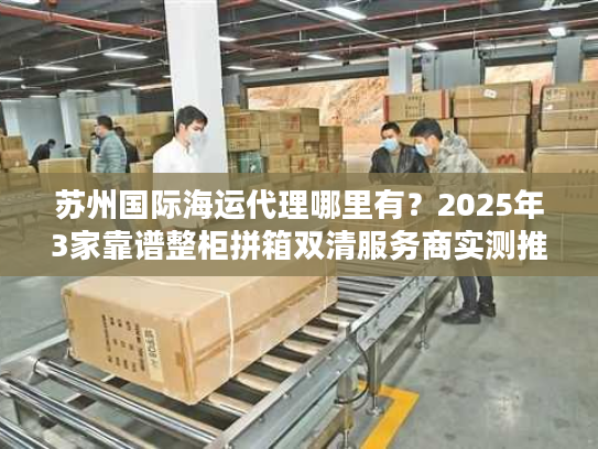 苏州国际海运代理哪里有？2025年3家靠谱整柜拼箱双清服务商实测推荐