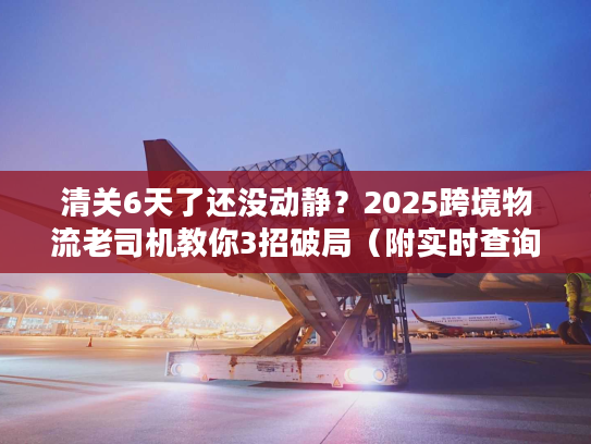 清关6天了还没动静？2025跨境物流老司机教你3招破局（附实时查询工具）