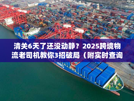 清关6天了还没动静？2025跨境物流老司机教你3招破局（附实时查询工具）