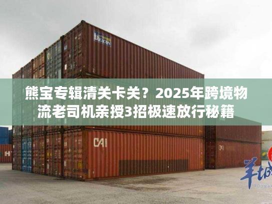 熊宝专辑清关卡关？2025年跨境物流老司机亲授3招极速放行秘籍