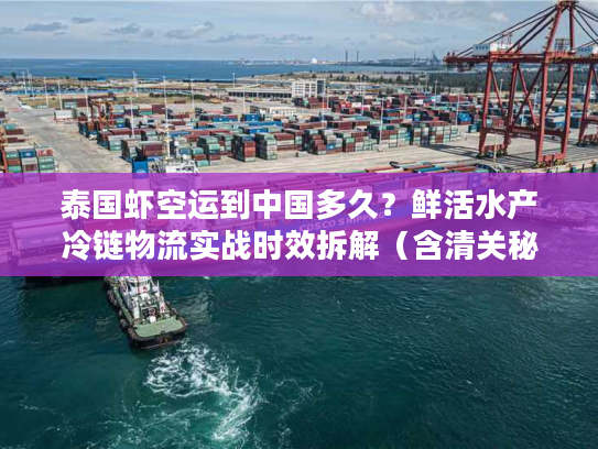 泰国虾空运到中国多久?鲜活水产冷链物流实战时效拆解(含清关秘诀) 泰国虾空运到中国多久?鲜活水产冷链物流实战时效拆解(含清关秘诀)