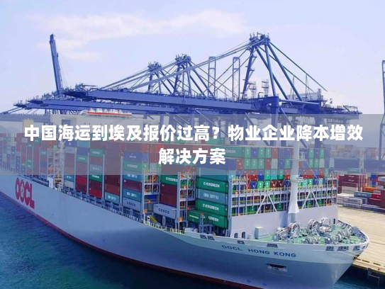 中国海运到埃及报价过高？物业企业降本增效解决方案