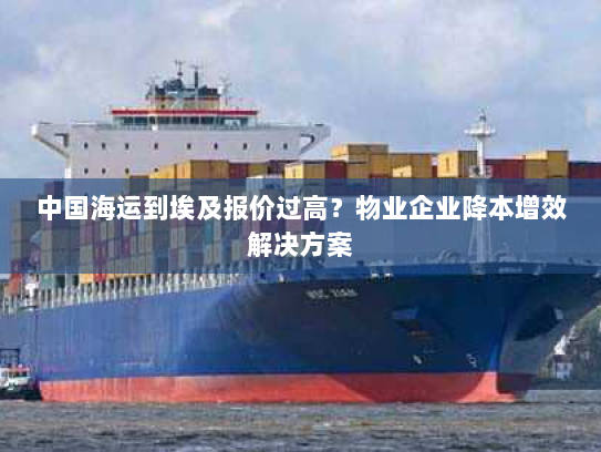 中国海运到埃及报价过高？物业企业降本增效解决方案