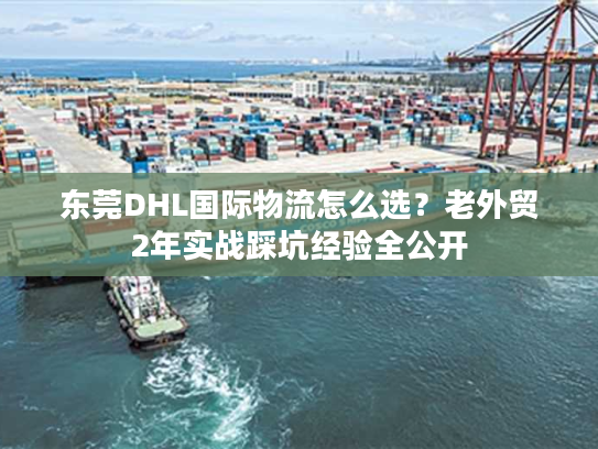 东莞DHL国际物流怎么选?老外贸2年实战踩坑经验全公开 东莞DHL国际物流怎么选?老外贸2年实战踩坑经验全公开