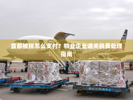 直邮被税怎么支付?物业企业通关税费处理指南 直邮被税怎么支付?物业企业通关税费处理指南
