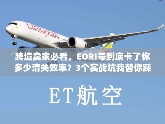 跨境卖家必看,EORI号到底卡了你多少清关效率?3个实战坑我替你踩过了 跨境卖家必看,EORI号到底卡了你多少清关效率?3个实战坑我替你踩过了