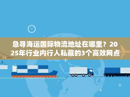 急寻海运国际物流地址在哪里？2025年行业内行人私藏的3个高效网点