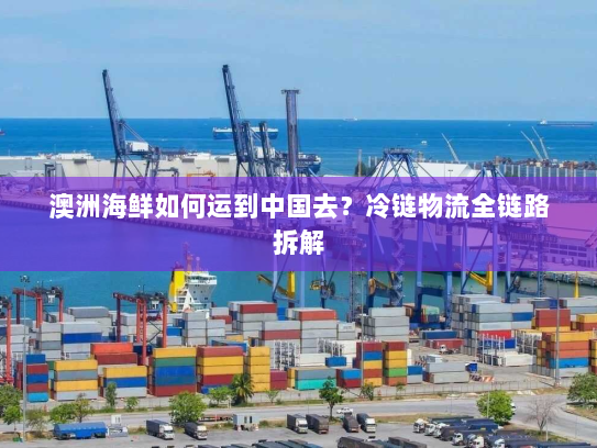 澳洲海鲜如何运到中国去?冷链物流全链路拆解 澳洲海鲜如何运到中国去?冷链物流全链路拆解