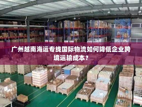 广州越南海运专线国际物流如何降低企业跨境运输成本？