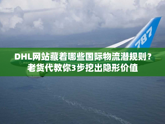 DHL网站藏着哪些国际物流潜规则？老货代教你3步挖出隐形价值