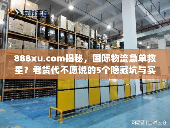 888xu.com揭秘，国际物流急单救星？老货代不愿说的5个隐藏坑与实战解法