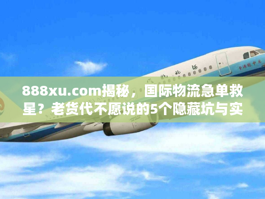 888xu.com揭秘，国际物流急单救星？老货代不愿说的5个隐藏坑与实战解法