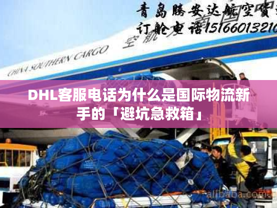 DHL客服电话为什么是国际物流新手的「避坑急救箱」