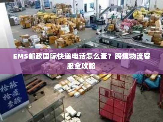 EMS邮政国际快递电话怎么查？跨境物流客服全攻略