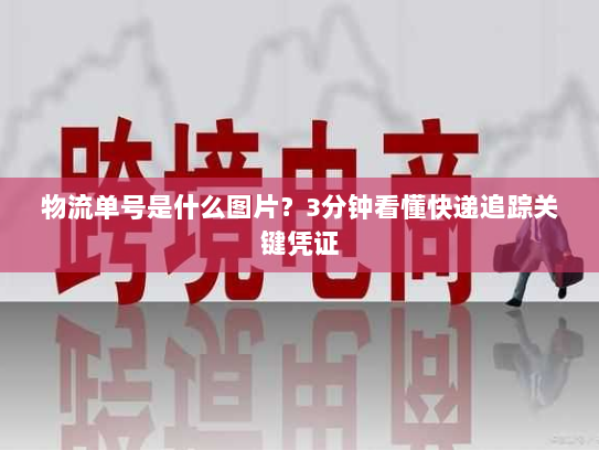 物流单号是什么图片?3分钟看懂快递追踪关键凭证 物流单号是什么图片?3分钟看懂快递追踪关键凭证