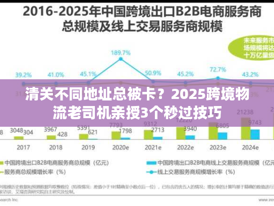 清关不同地址总被卡？2025跨境物流老司机亲授3个秒过技巧