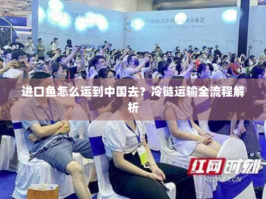 进口鱼怎么运到中国去？冷链运输全流程解析