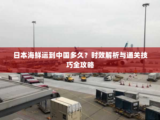 日本海鲜运到中国多久?时效解析与通关技巧全攻略 日本海鲜运到中国多久?时效解析与通关技巧全攻略