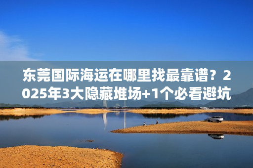 东莞国际海运在哪里找最靠谱？2025年3大隐藏堆场+1个必看避坑技巧