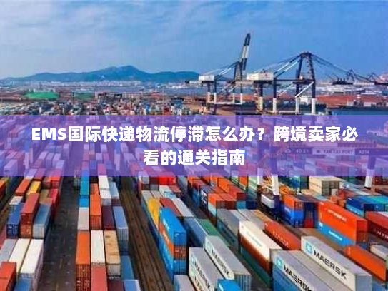 EMS国际快递物流停滞怎么办？跨境卖家必看的通关指南