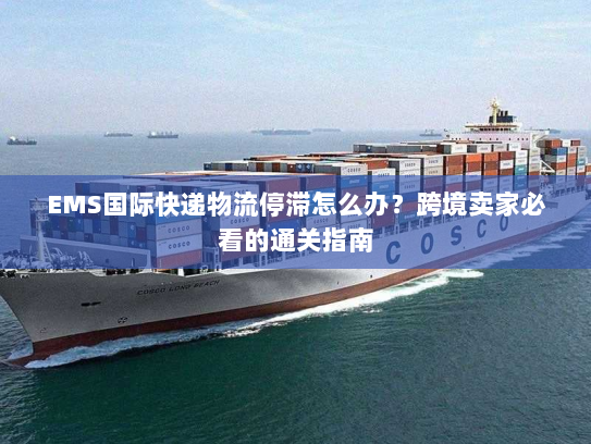EMS国际快递物流停滞怎么办？跨境卖家必看的通关指南