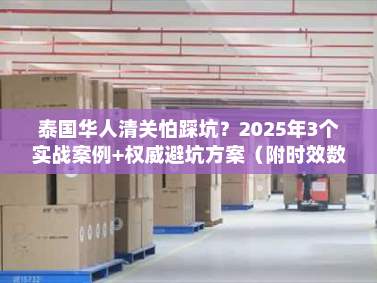 泰国华人清关怕踩坑？2025年3个实战案例+权威避坑方案（附时效数据）