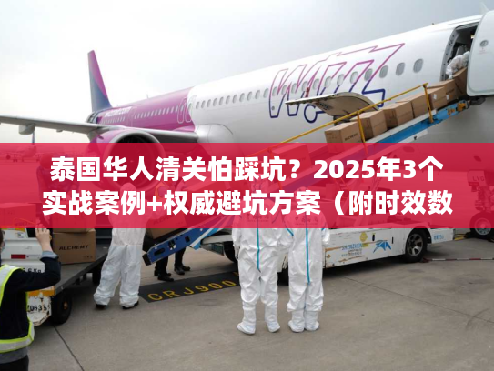 泰国华人清关怕踩坑？2025年3个实战案例+权威避坑方案（附时效数据）