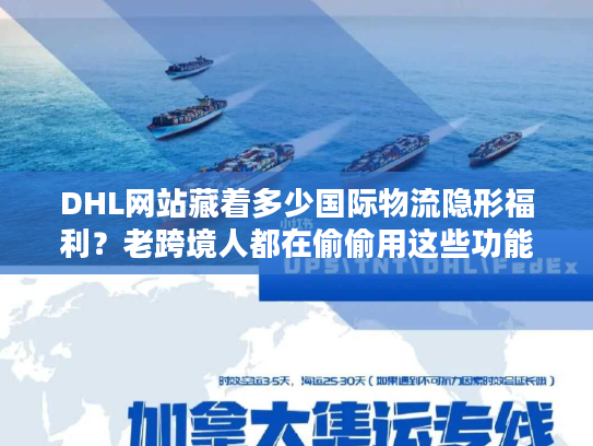 DHL网站藏着多少国际物流隐形福利?老跨境人都在偷偷用这些功能 DHL网站藏着多少国际物流隐形福利?老跨境人都在偷偷用这些功能
