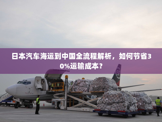 日本汽车海运到中国全流程解析，如何节省30%运输成本？
