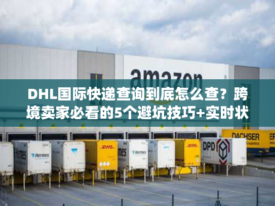 DHL国际快递查询到底怎么查？跨境卖家必看的5个避坑技巧+实时状态解读