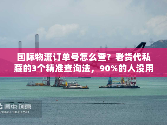国际物流订单号怎么查？老货代私藏的3个精准查询法，90%的人没用过