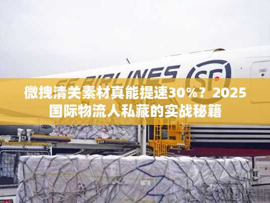 微拽清关素材真能提速30%？2025国际物流人私藏的实战秘籍