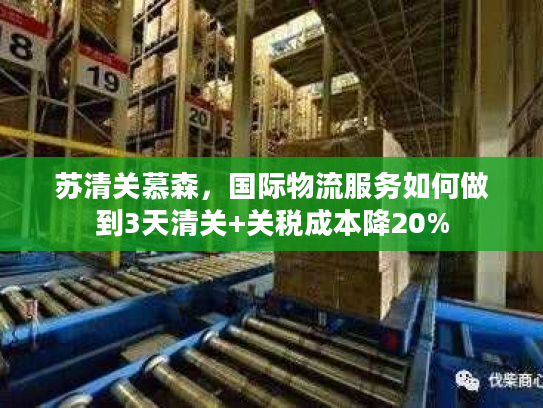 苏清关慕森，国际物流服务如何做到3天清关+关税成本降20%