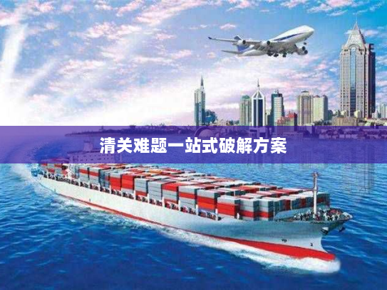 清关难题一站式破解方案 清关难题一站式破解方案
