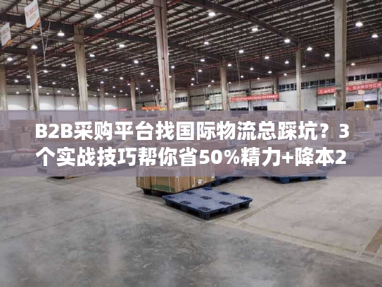 B2B采购平台找国际物流总踩坑?3个实战技巧帮你省50%精力+降本20% B2B采购平台找国际物流总踩坑?3个实战技巧帮你省50%精力+降本20%