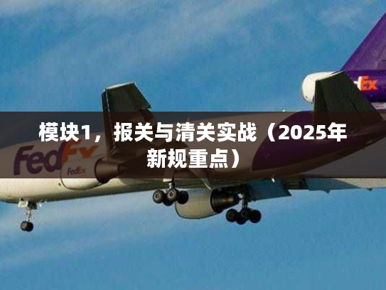 模块1，报关与清关实战（2025年新规重点）