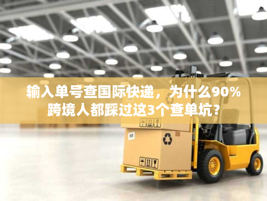 输入单号查国际快递，为什么90%跨境人都踩过这3个查单坑？